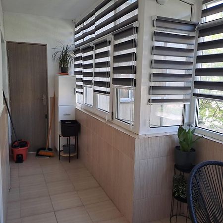 Ilona Apartament 3 Camere Râmnicu Vâlcea エクステリア 写真