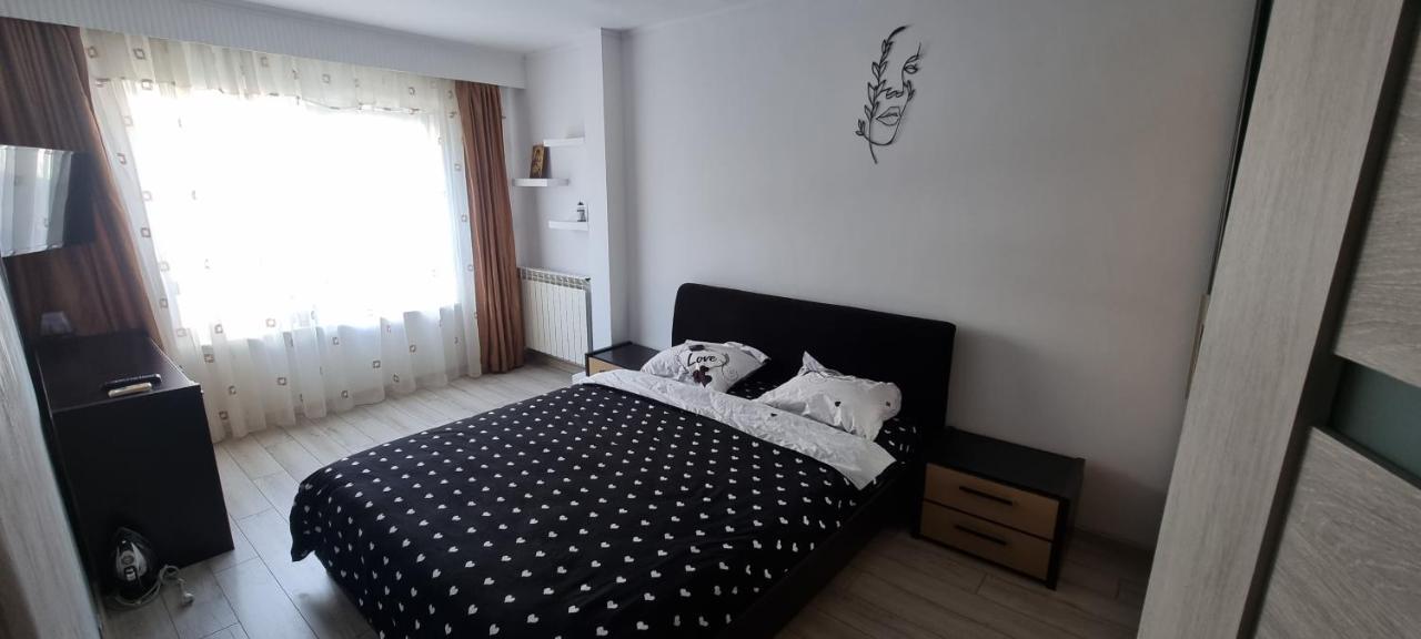 Ilona Apartament 3 Camere Râmnicu Vâlcea エクステリア 写真